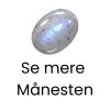 Mnesten