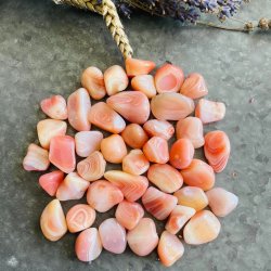 Abrikos Agat Lommesten