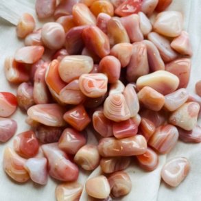 Abrikos Agat Lommesten