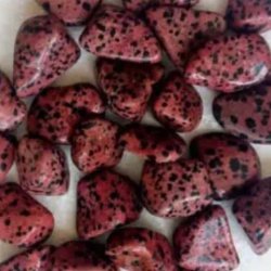 Rd Dalmatiner Lommesten