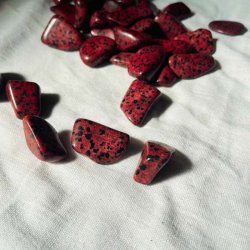 Rd Dalmatiner Lommesten