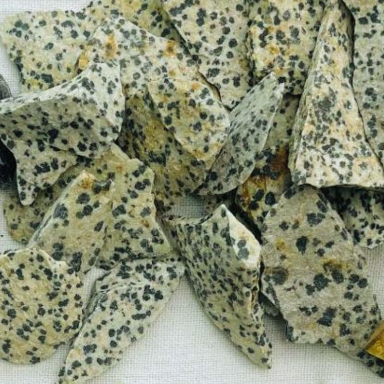 R dalmatiner jaspis