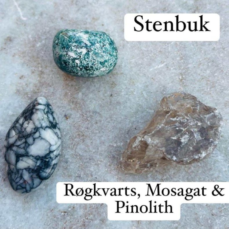 Stenbuk Krystalst